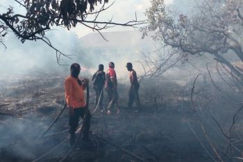 BMKG ingatkan warga Kalteng waspadai potensi Karhutla