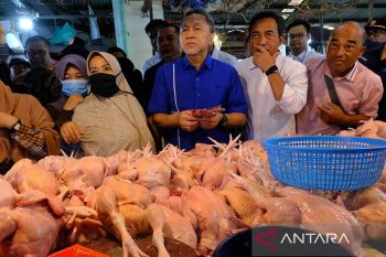 Mendag Zulkifli Hasan tinjau stok dan harga pangan di Pasar Flamboyan Pontianak