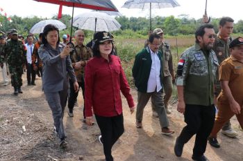 Bupati minta DPD RI dukung food estate dilanjutkan di Pulang Pisau
