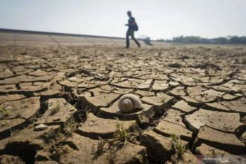 Pemprov Lampung minta petani di wilayah rawan kekeringan ikut asuransi