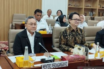 Stok beras lebih dari cukup hingga akhir tahun, sebut Mendag