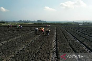 Petani Kulon Progo diimbau mempercepat pengolahan sawah