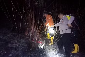 BPBD Sulteng upaya padamkan titik api kebakaran lahan di Kabupaten Banggai