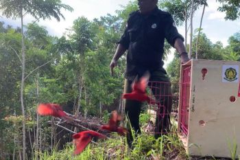 Pengawasan peredaran flora-fauna di Indonesia diperketat