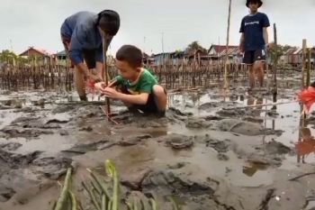 Forum Komunitas Hijau dan Sintalaras UNM lestarikan mangrove