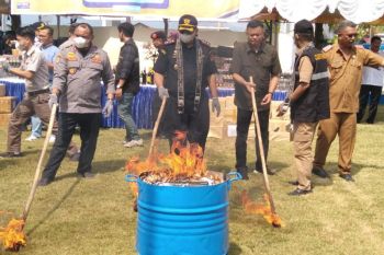 Bea Cukai Pantoloan Palu musnahkan 358 ribu batang rokok ilegal