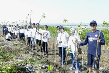 Ribuan mahasiswa baru Udinus tanam mangrove di pantai Semarang