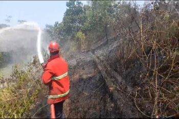 Damkarmat Lampung Selatan padamkan tiga titik lokasi karhutla