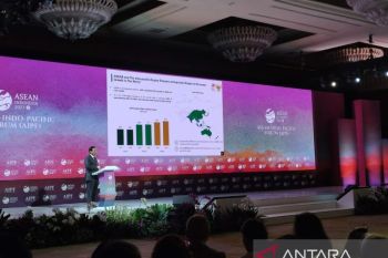 ASEAN ready to collaborate with Indo-Pacific partners: minister