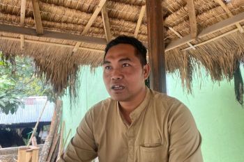 Munzir sang pelopor gula aren semut di Giri Madia