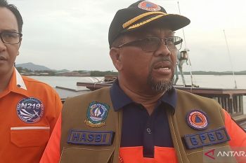 BPBD Kepri deteksi dua daerah yang miliki titik panas