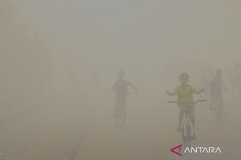 BMKG: Waspada kabut asap akibat karhutla di seluruh wilayah Kalsel pada Kamis