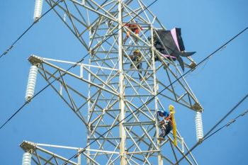 Antisipasi gangguan, PLN NTB imbau masyarakat tidak bermain layang-Layang lekat instalasi listrik