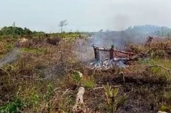 BPBD Pesisir Selatan berhasil jinakan Karhutla