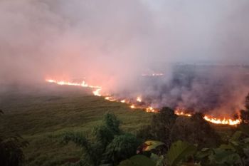 BMKG Palu imbau masyarakat antisipasi El Nino hingga Januari 2024