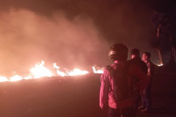 DPKP tangani kebakaran lahan ilalang di Medokan Semampir Surabaya