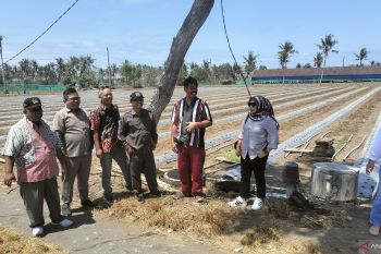 DPRD Kulon Progo minta dinas membangun jalan usaha tani lahan pasir