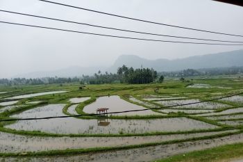 Pemkab Tanah Datar uji sampel kualitas udara