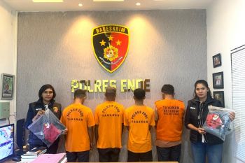 Polres Ende tangkap 4 tersangka kekerasan perempuan dan anak