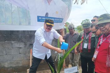Kementan: Gerakan menanam merupakan langkah nyata mencapai ketahanan pangan