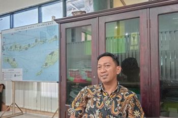 Bulog NTT sebut persediaan beras cukup hingga akhir tahun