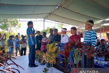 Pemkab Sumba Barat motivasi warga kembangkan usaha pertanian