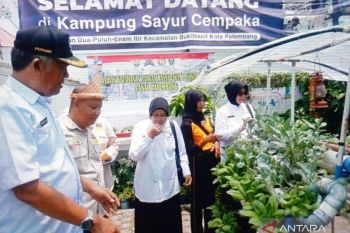 Pepabri Palembang berikan pelatihan  hidroponik ke purnawirawan