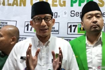 PPP targetkan 11 juta suara pada Pemilu 2024