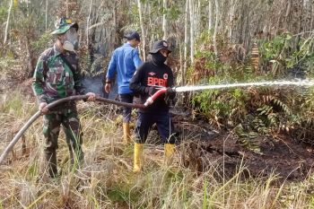 Berikut luasan lahan terbakar di Kabupaten Kapuas