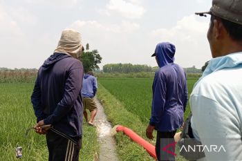 Distan OKU Timur atasi kekeringan di sawah  tiga desa