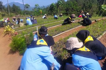 Pecinta  alam gelar Aksi Peduli Bumi di Bukit Mandala Banjarnegara