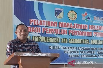 Pemprov Sulteng bertekad menjadi penyuplai durian untuk IKN