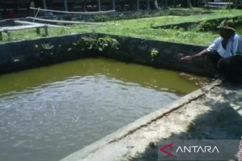 DKP Bantul : Sesuaikan jenis ikan dengan debit air saat kemarau