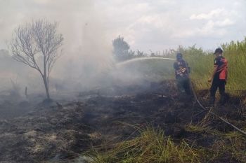 BPBD Palangka Raya padamkan kebakaran 197,42 hektare lahan gambut