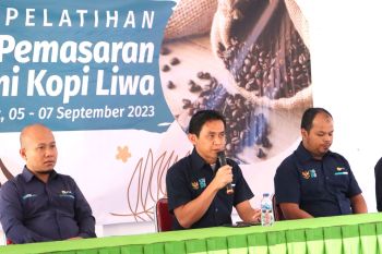 Gelar pelatihan produksi dan pemasaran kopi Liwa, PLN dorong pertumbuhan ekonomi daerah