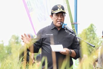Wagub: Optimalisasi pertanian bagian dari pengendalian inflasi di Kalteng