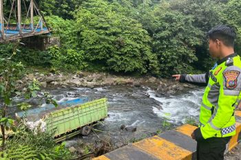 Rem blong, truk pakan ayam masuk jurang sedalam 15 meter