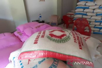 Pelaku UMKM makanan cari alternatif sikapi kenaikan harga beras
