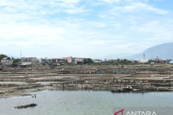 Petani penggaraman yang tegar di Kampung Nelayan Kota Palu