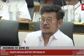 Kementan targetkan produksi beras 55,42 juta ton pada 2024