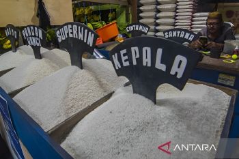 Pemkot Palu siapkan upaya intervensi kenaikan harga besar