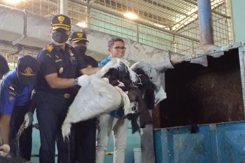 Bea Cukai Batam musnahkan barang hasil penindakan capai nilai Rp3,1 miliar