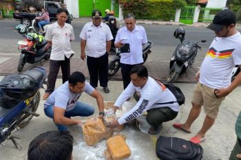 BNNP Bali sita tujuh kardus ganja jaringan Medan-Bali