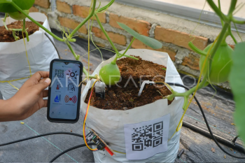 Teknologi smart farming di Pariaman