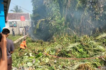 Petugas berusaha padamkan kebakaran lahan di Pesisir Barat, Lampung
