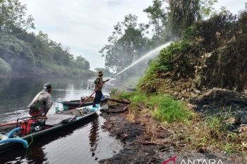 Cegah karhutla berulang, Yayasan Orangutan basahi lahan di wilayah kerjanya