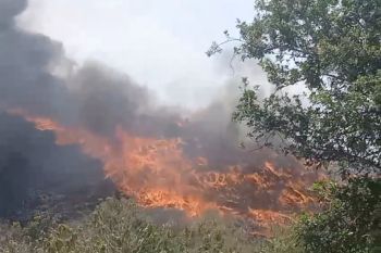 Surakarta antisipasi kesehatan warga dampak kebakaran TPA Putri Cempo
