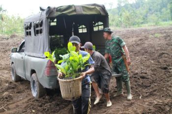 Kodim Rejang Lebong salurkan bantuan 1.000 batang bibit kopi robusta