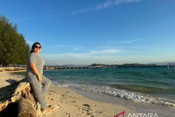 Kelelawar Ponelo potensi jadi objek wisata di Gorontalo