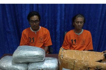 BNN tangkap dua pengedar ganja jaringan Medan-Bali